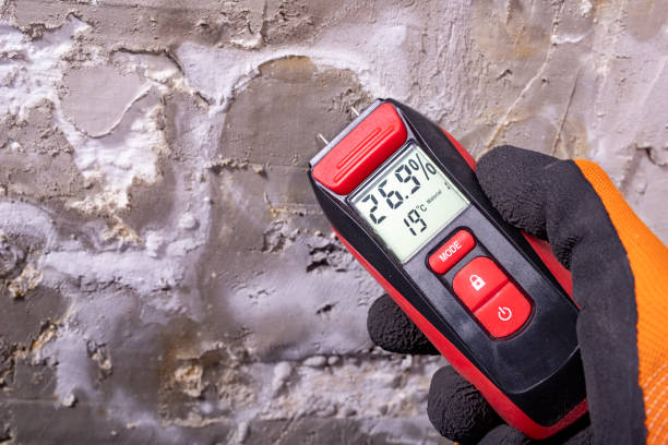 Best Mold Remediation  in Southern Pines, NC