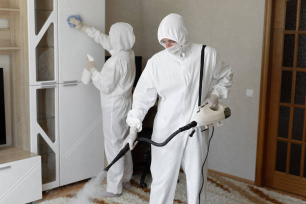 Attic Mold Removal in Southern Pines, NC