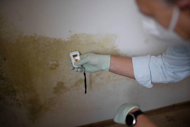 Best Crawl Space Mold Removal  in Southern Pines, NC
