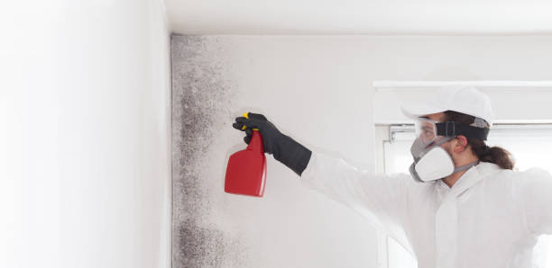 Water Damage Restoration in Southern Pines, NC