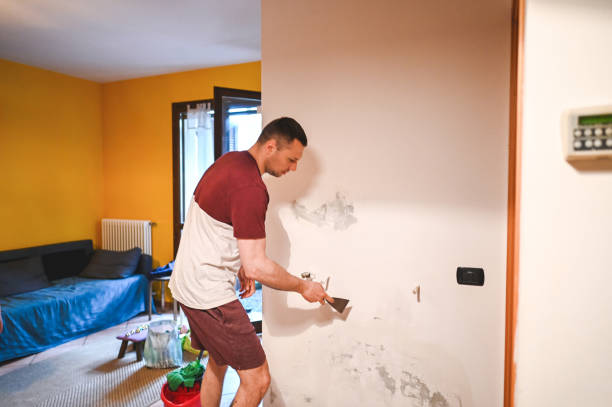 Best Best Mold Removal Companies  in Southern Pines, NC